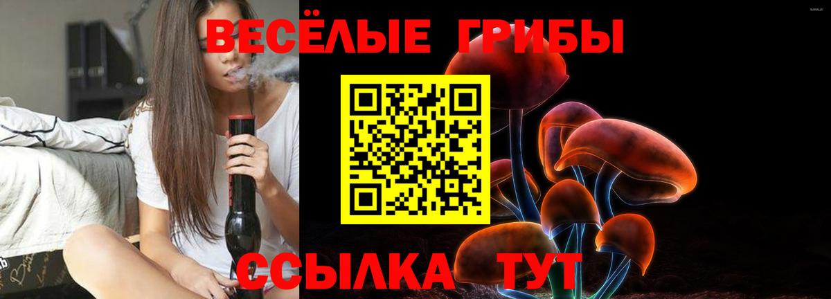 Галлюциногенные грибы GOLDEN TEACHER  Вход с VPN  Сочи 